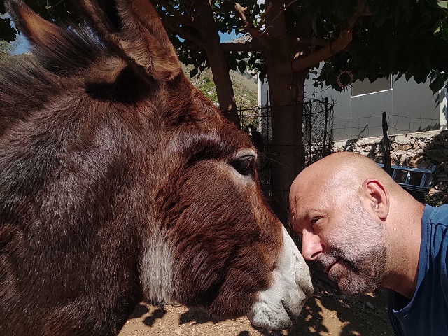 Donkey adventure Donkey adventure